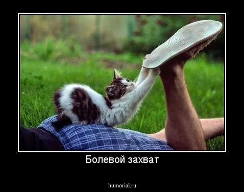 Болевой захват