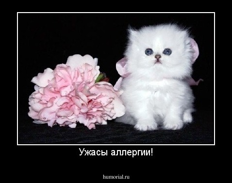 Ужасы аллергии!