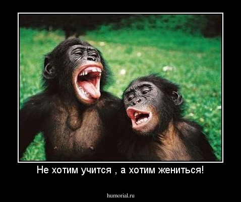Не хотим учится , а хотим жениться!