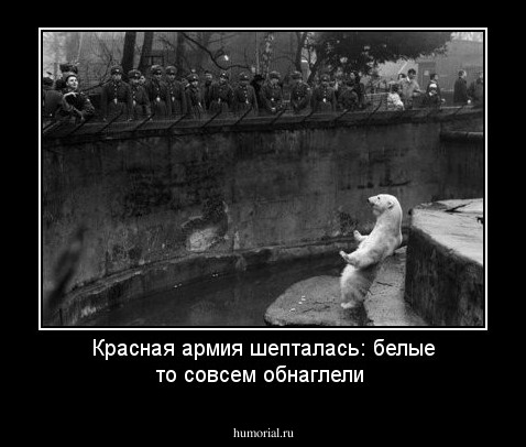 Красная армия шепталась: белые то совсем обнаглели