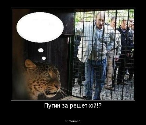 Путин за решеткой!?