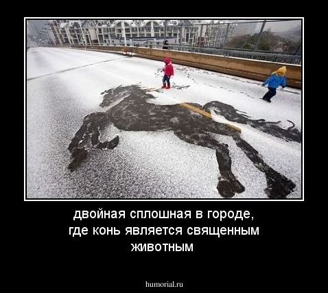 двойная сплошная в городе, где конь является священным животным
