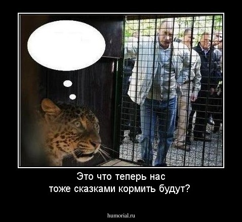 Это что теперь нас тоже сказками кормить будут?