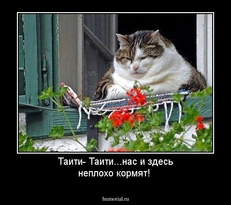 Таити- Таити...нас и здесь неплохо кормят!