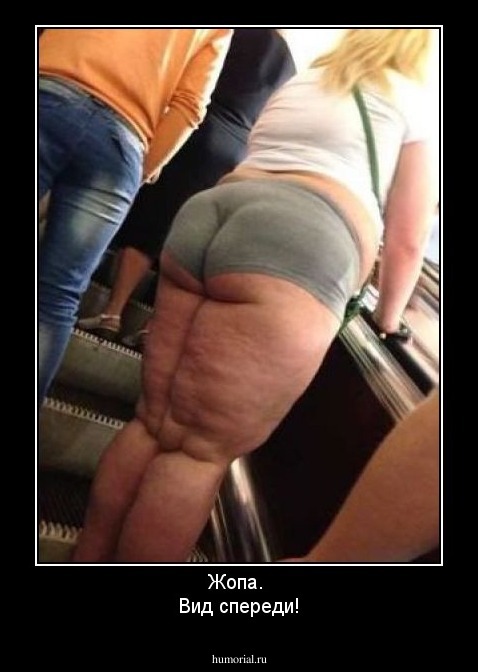 Жопа. 
Вид спереди!