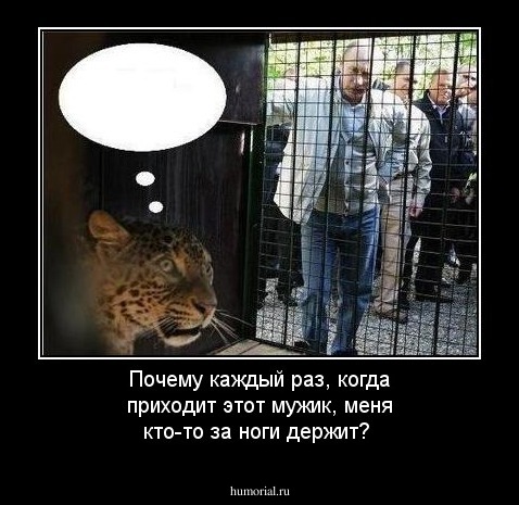 Почему каждый раз, когда приходит этот мужик, меня кто-то за ноги держит?
