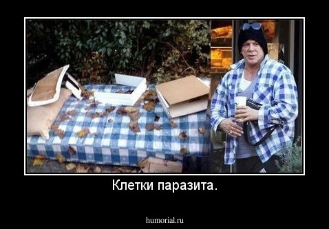 Клетки паразита.