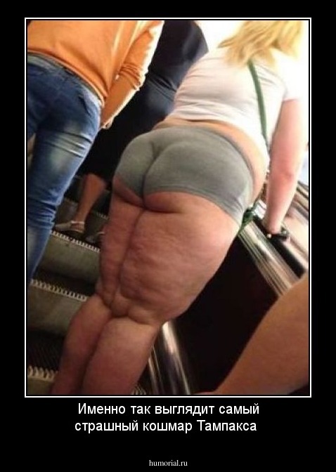 Именно так выглядит самый страшный кошмар Тампакса