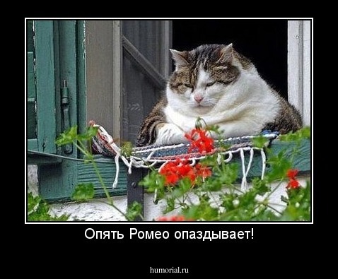 Опять Ромео опаздывает!