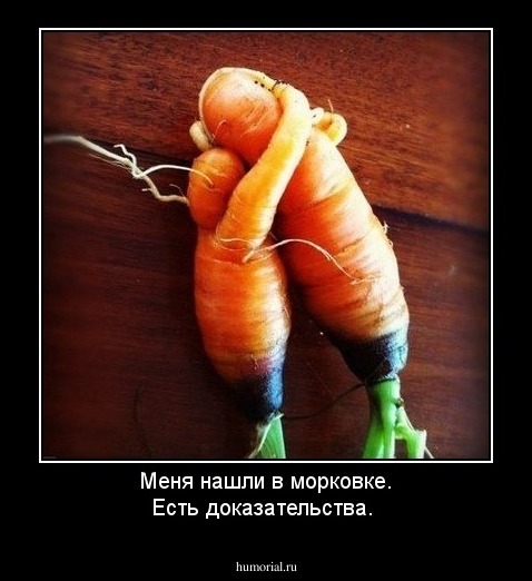 Меня нашли в морковке. Есть доказательства.