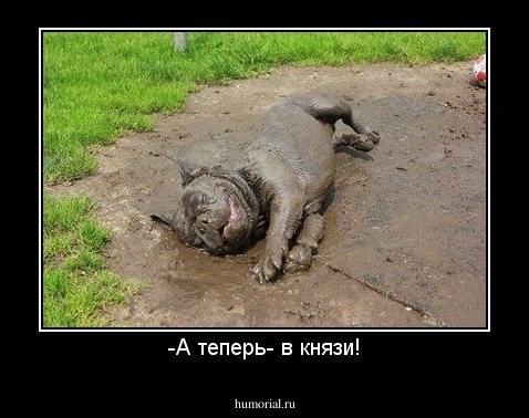 -А теперь- в князи!