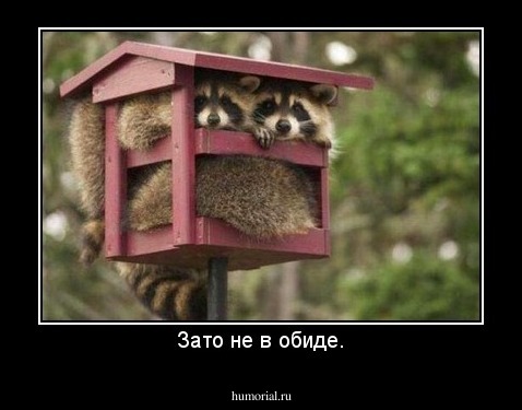 Зато не в обиде.