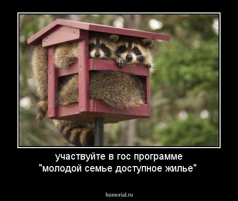 участвуйте в  гос программе "молодой семье доступное жилье"