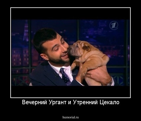 Вечерний Ургант и Утренний Цекало