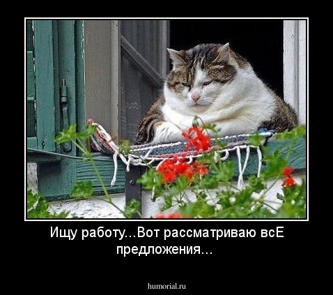 Ищу работу...Вот рассматриваю всЕ предложения...
