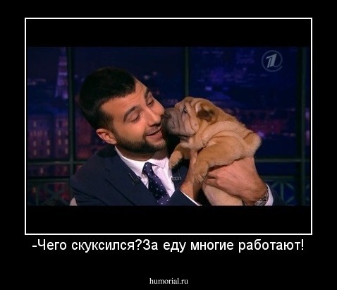 -Чего скуксился?За еду многие работают!