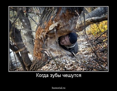 Когда зубы чешутся