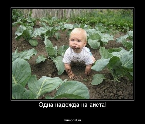 Одна надежда на аиста!