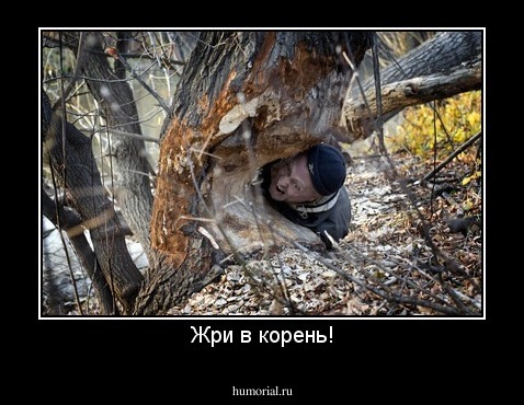 Жри в корень!