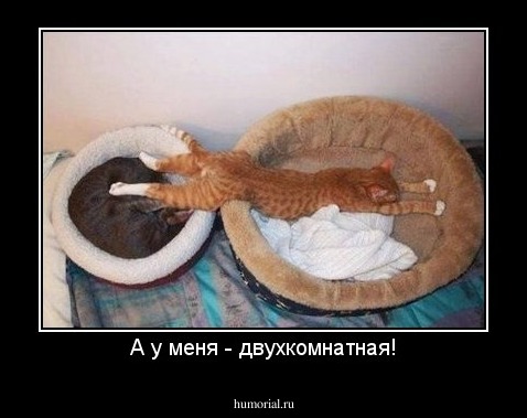 А у меня - двухкомнатная!