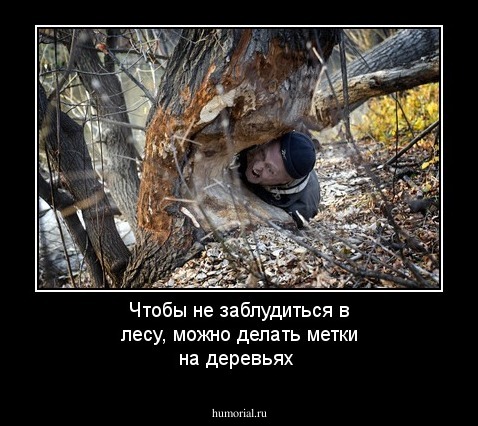 Чтобы не заблудиться в лесу, можно делать метки на деревьях