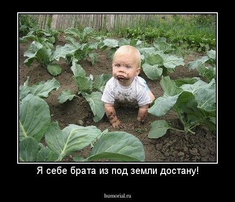 Я себе брата из под земли достану!