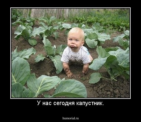 У нас сегодня капустник.
