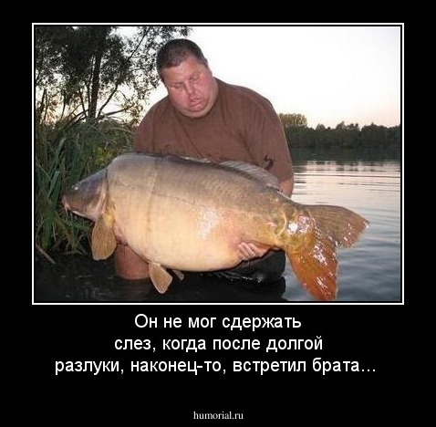 Он не мог сдержать слез, когда после долгой разлуки, наконец-то, встретил брата...