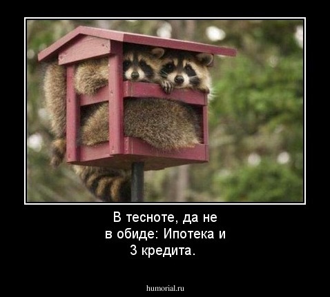 В тесноте, да не в обиде: Ипотека и 3 кредита.
