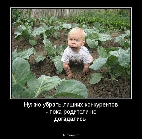 Нужно убрать лишних конкурентов - пока родители не догадались