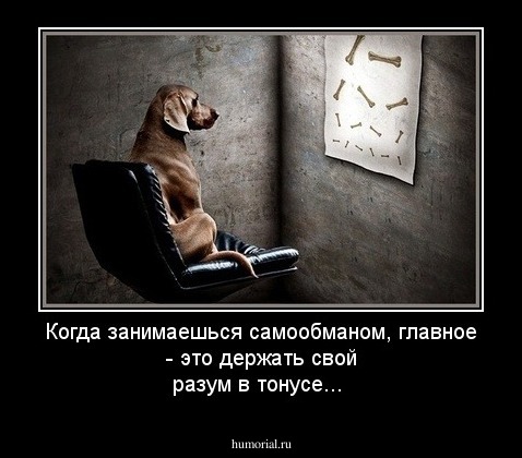Когда занимаешься самообманом, главное - это держать свой разум в тонусе...