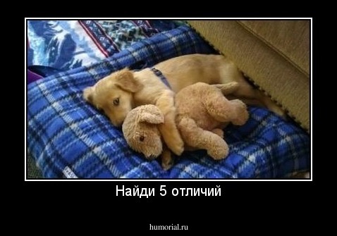 Найди 5 отличий
