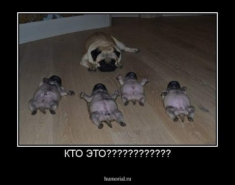 КТО ЭТО????????????