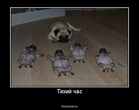 Тихий час