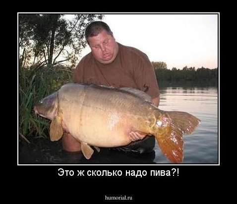 Это ж сколько надо пива?!