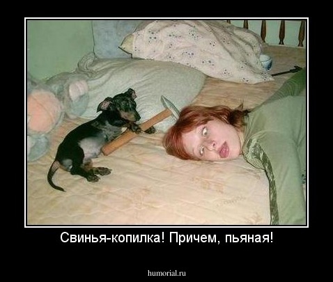 Свинья-копилка! Причем, пьяная!