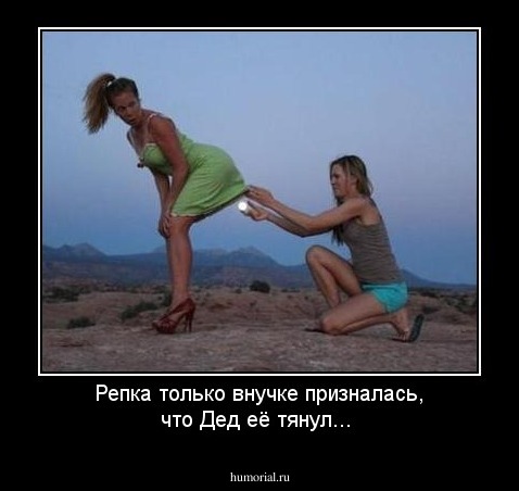 Репка только внучке призналась, что Дед её тянул...