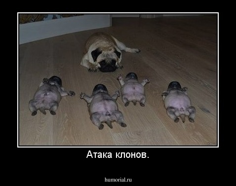 Атака клонов.