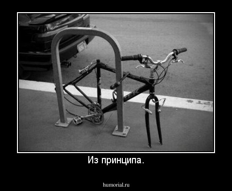 Из принципа.