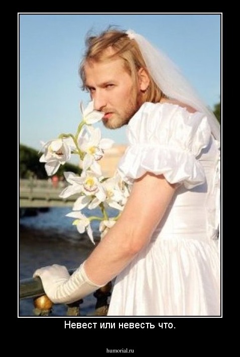 Невест или невесть что.
