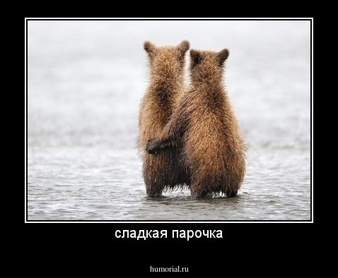 сладкая парочка