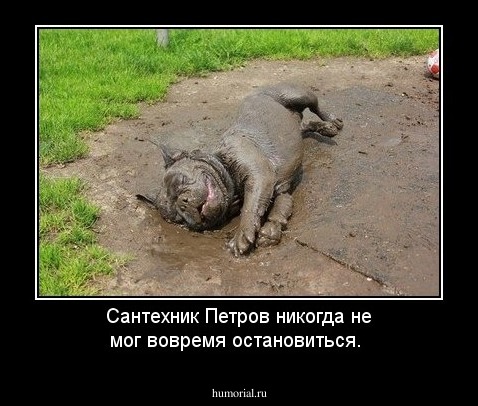 Сантехник Петров никогда не мог вовремя остановиться.