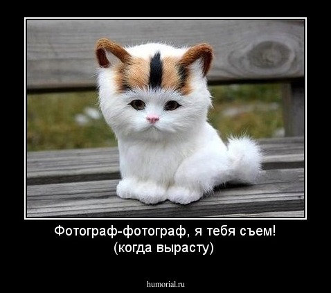 Фотограф-фотограф, я тебя съем! (когда вырасту)