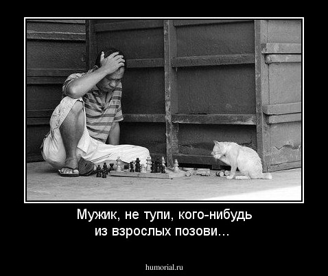 Мужик, не тупи, кого-нибудь из взрослых позови...