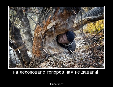 на лесоповале топоров нам не давали! 