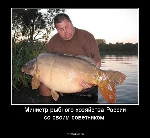 Министр рыбного хозяйства России со своим советником