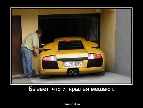 Бывает, что и  крылья мешают.