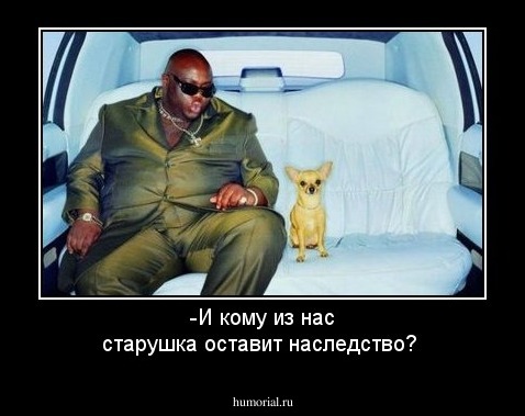 -И кому из нас старушка оставит наследство?