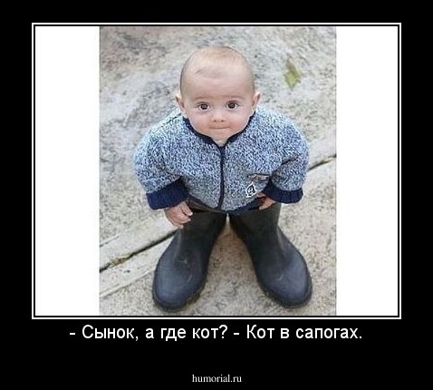 - Сынок, а где кот? - Кот в сапогах.