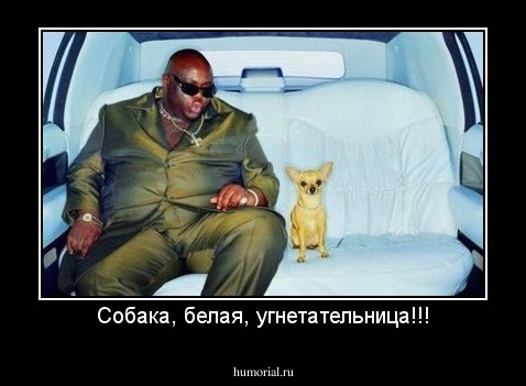 Собака, белая, угнетательница!!!